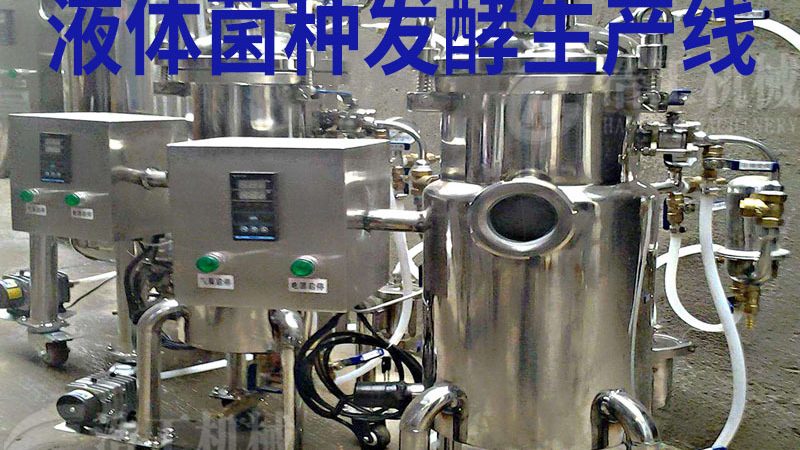 上海冻干机维修保养：关键环节与注意事项